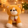 Orange cat